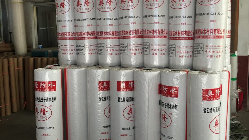 隧道工程专用防水卷材：揭秘其背后的技术奥秘**