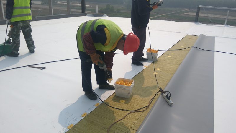 地下室防水涂料防水等级规范：揭秘关键指标与选择要点